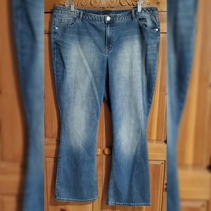 Lane Bryant Jeans
